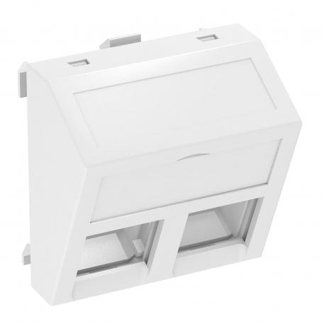 Data technology support, 1 module, slanting outlet, type C, without dust protection slider
