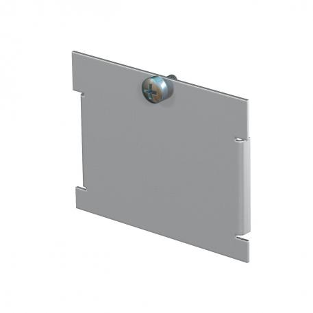 Blanking cover for mounting support